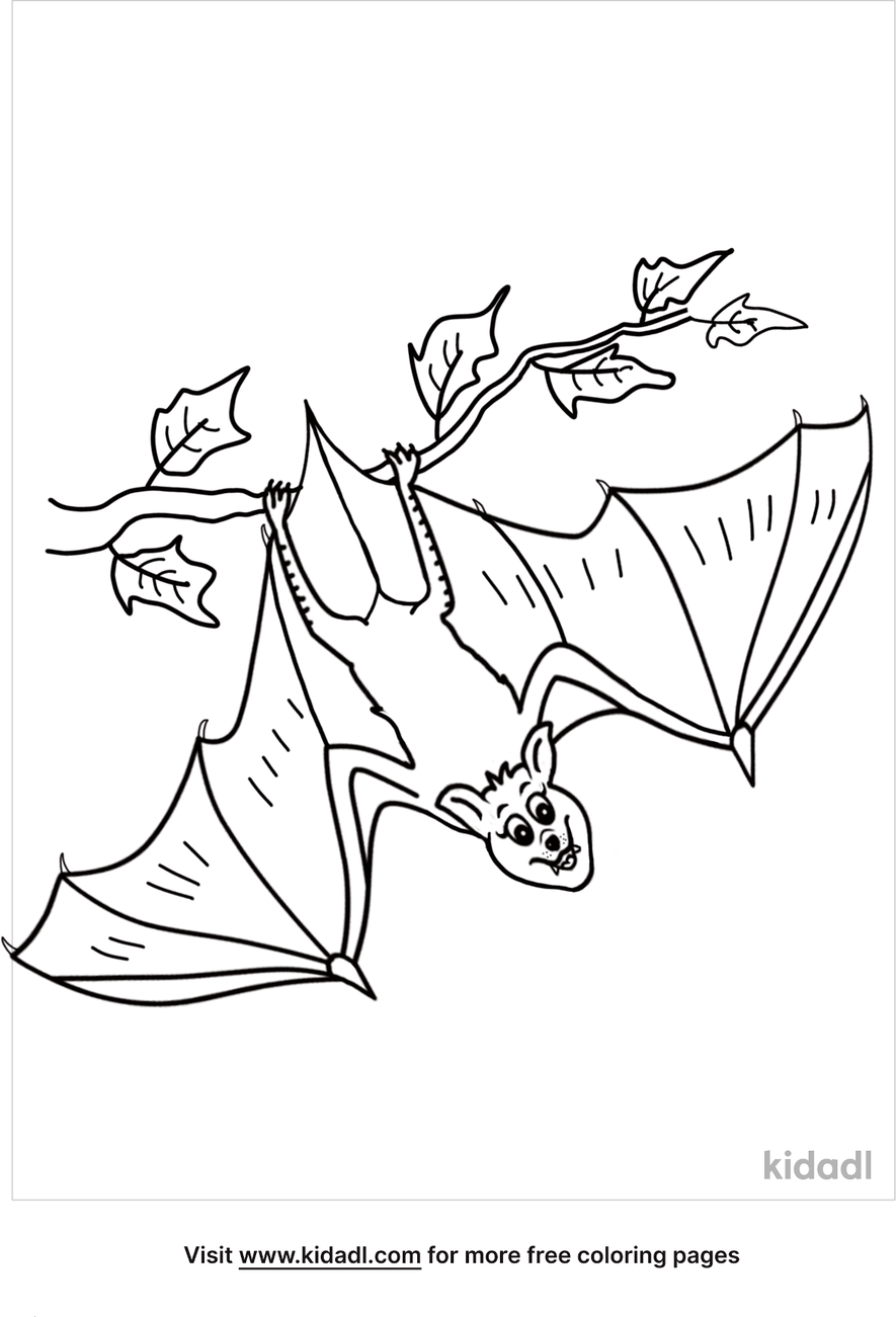 Bat Hanging Upside Down Coloring Page 3