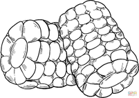 Corn On The Cob Coloring Sheet 2