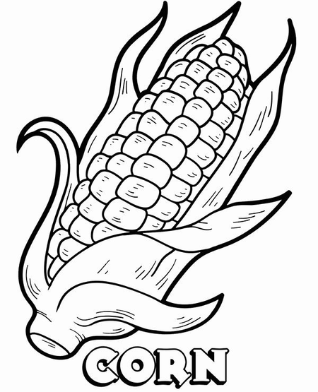 Corn On The Cob Coloring Sheet 3