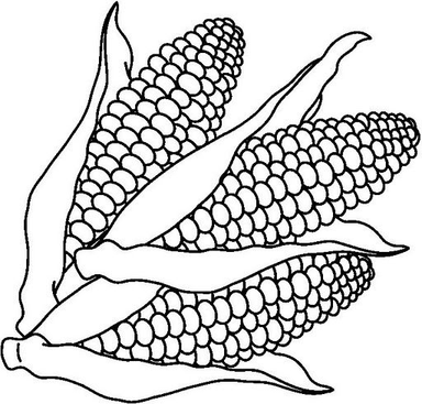 Corn On The Cob Coloring Sheet 4