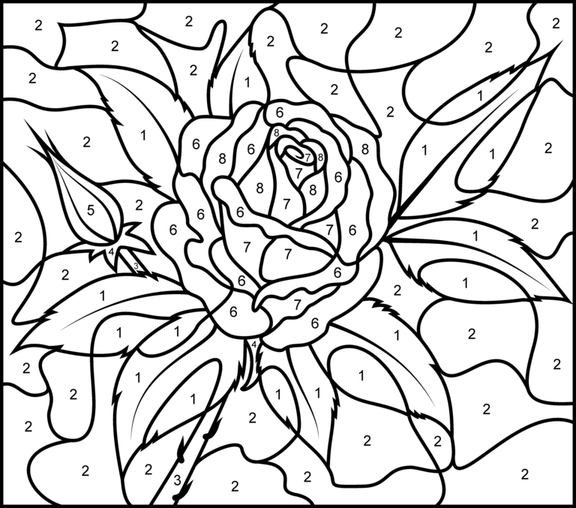 Floral Design Color By Number Coloring Pages For Adults