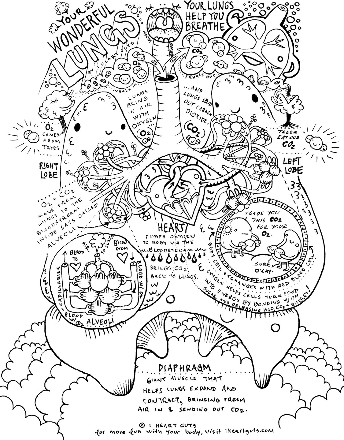 Coloring Pages Anatomy