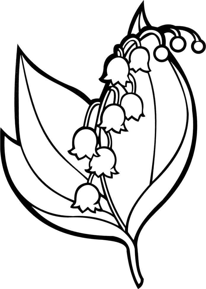 Lily Of The Valley Coloring Pages