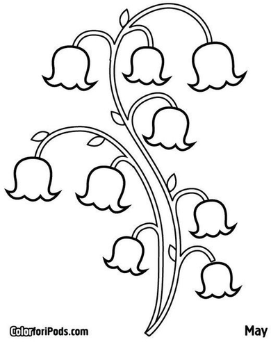 Lily Of The Valley Coloring Pages 5