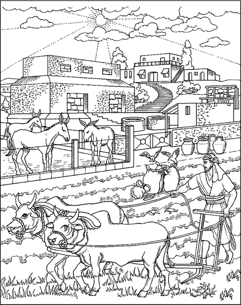 Parable Of The Rich Fool Coloring Page 4