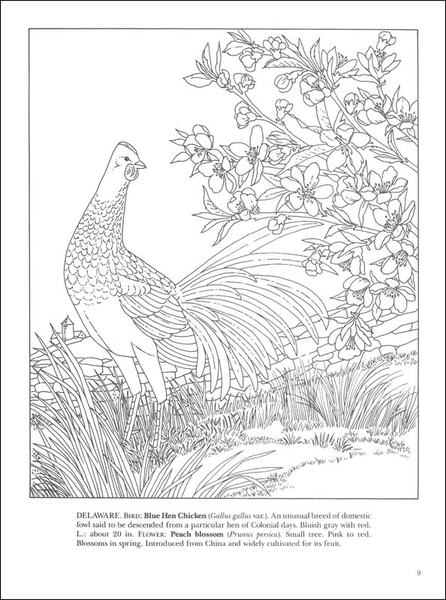State Birds And Flowers Coloring Book 2