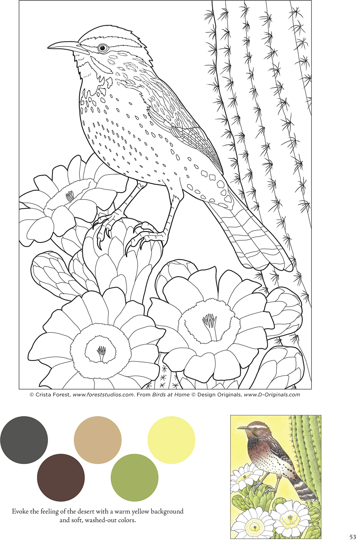State Birds And Flowers Coloring Book 3