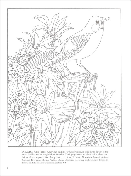 State Birds And Flowers Coloring Book 4