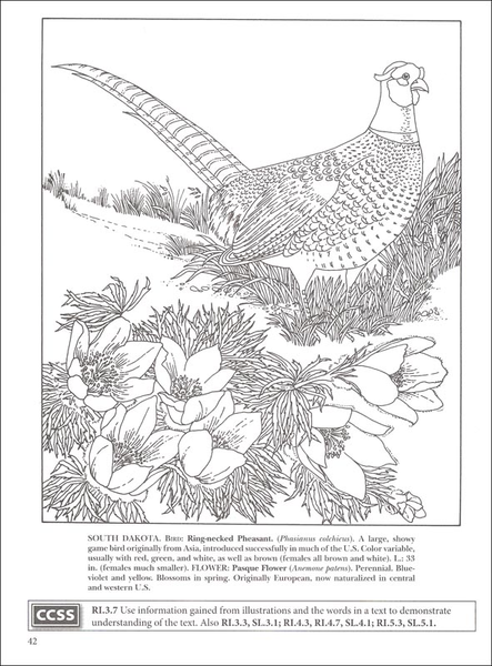 State Birds And Flowers Coloring Book 5