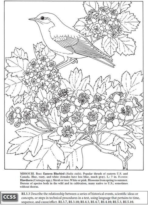 State Birds And Flowers Coloring Book 6