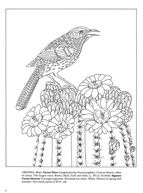 State Birds And Flowers Coloring Book 7