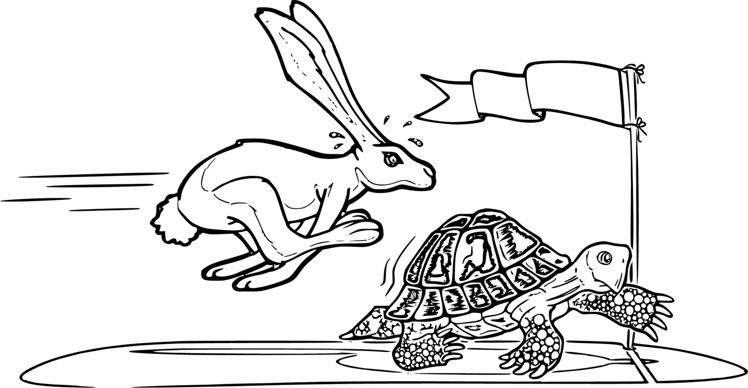 Tortoise And The Hare Coloring Page 7